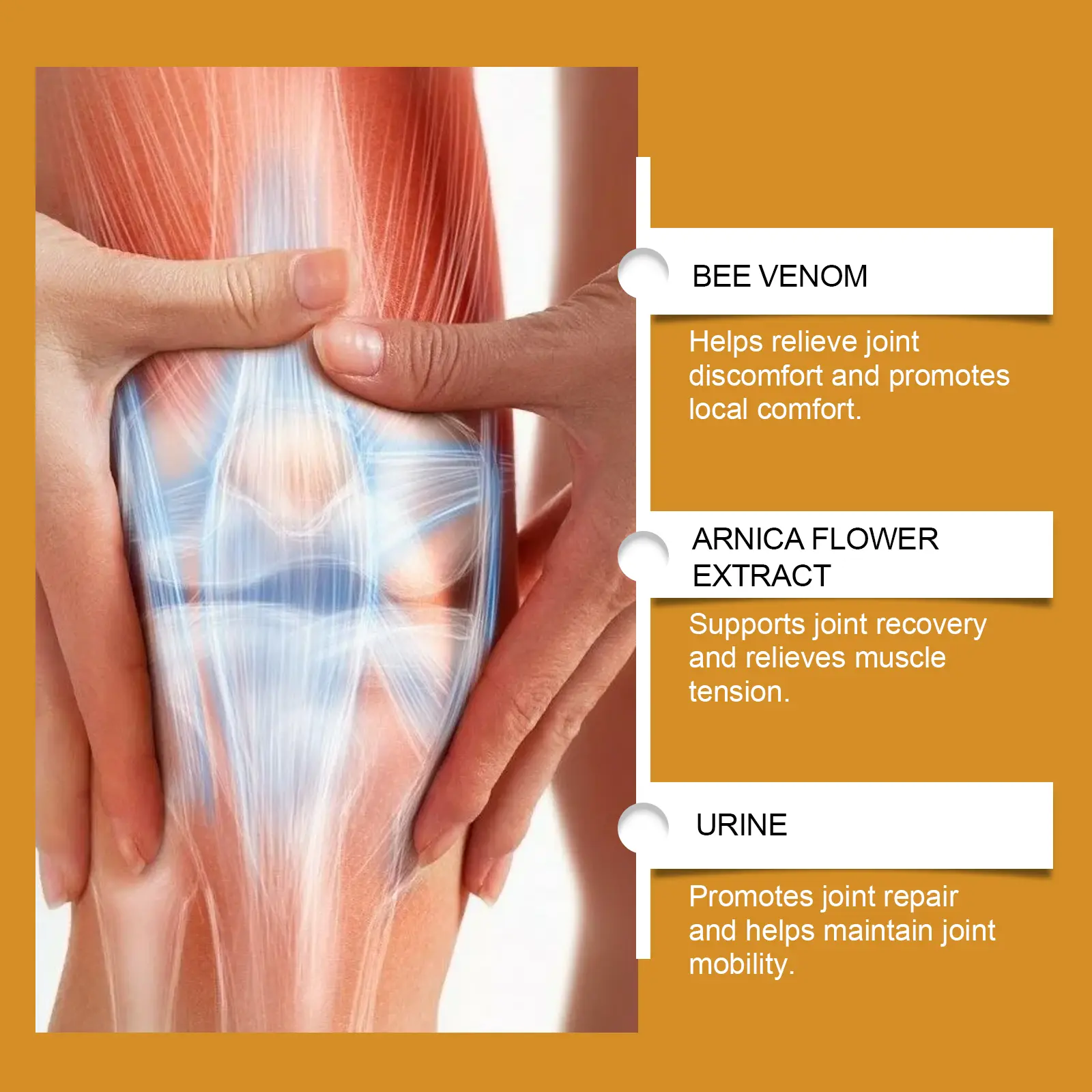 Laniska Bee Venom Joint Relief Cream for Bone and Joint Discomfort 6 laniska bone joint relief cream LA B05 0006 01 2361
